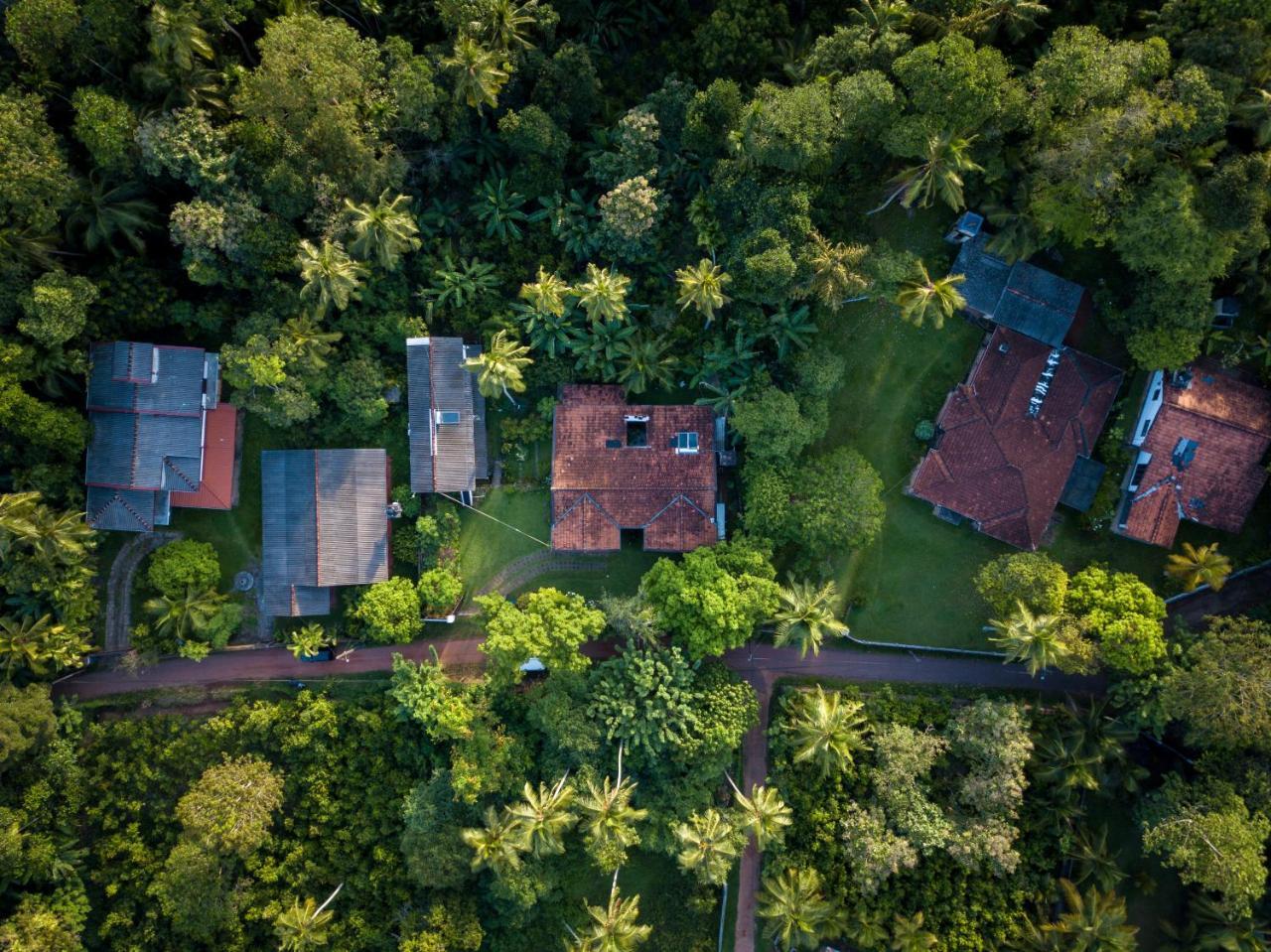 Hikkanest Hikkaduwa Exterior photo